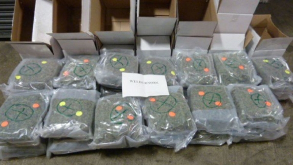 
                              Dutch smugglers used gone-off pizza cheese to hide £5m cannabis stash
                      
